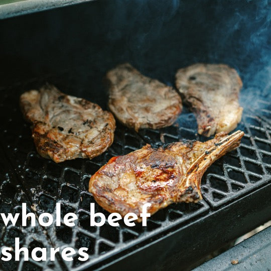 Whole Beef Share Deposit - Wyeth Farms Beef